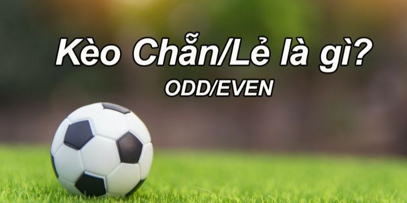 Kèo Chẵn Lẻ Là Gì? Cách Bắt Kèo Cực Chuẩn Trong Bóng Đá